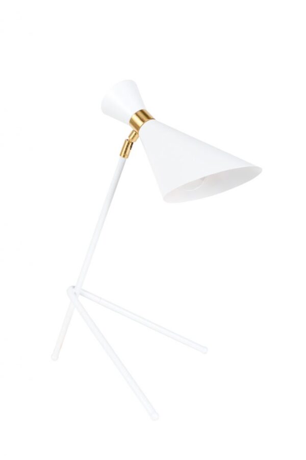 Shady table lamp