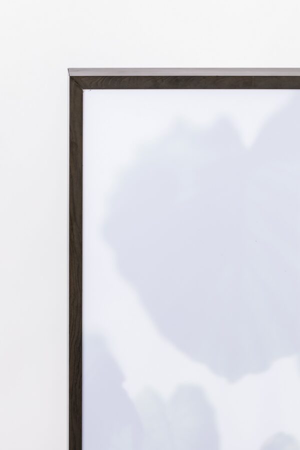 FLOOR LAMP GROW - Image 34