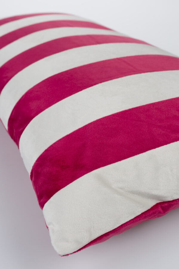 Cushion Taz - Image 3