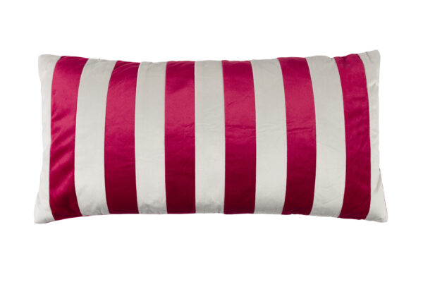 Cushion Taz