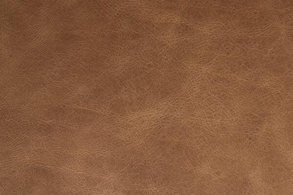 Sofa Douglas Wax Leather Cognac/Chocolate - Image 10